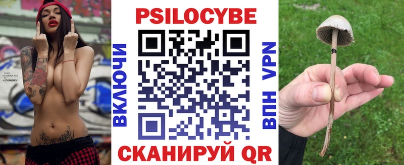 Псилоцибиновые грибы Magic Shrooms  продажа наркотиков  hydra ссылки  Льгов 